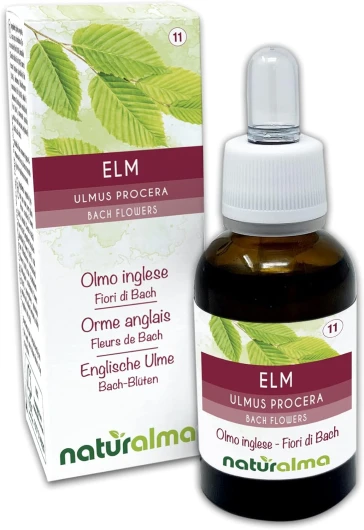 Elm ou Orme anglais (Ulmus procera) Fleurs de Bach Naturalma - Gouttes 30 ml - Extrait liquide sans alcool - Essences florales - Vegan et sans alcool