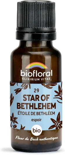 29 Star of Bethlehem, Étoile de Bethléem BIO - Espoir - Fleur de Bach Authentique - 470 Granules - Sans Alcool