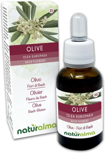 Olive ou Olivier (Olea europaea) Fleurs de Bach Naturalma - Gouttes 30 ml - Extrait liquide sans alcool - Essences florales - Vegan et sans alcool