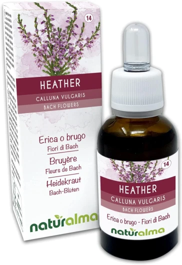 Heather ou Bruyère (Calluna vulgaris) Fleurs de Bach Naturalma - Gouttes 30 ml - Extrait liquide sans alcool - Essences florales - Vegan et sans alcool