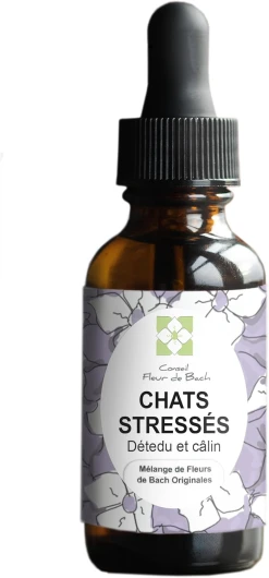 ® - Fleurs de Bach Chat stressé Un mélange Qui va Aider Votre Chat à se Calmer Flacon de 10 ML 10 ml (Lot de 1)