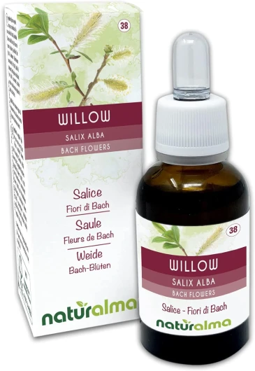 Willow ou Saule (Salix alba var - vitellina) Fleurs de Bach Naturalma - Gouttes 30 ml - Extrait liquide sans alcool - Essences florales - Vegan et sans alcool