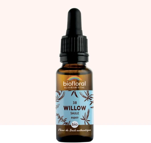 BIOFLORAL 38 Willow, Saule Compte Gouttes Bio Demeter 20 Ml Fleur De Bach