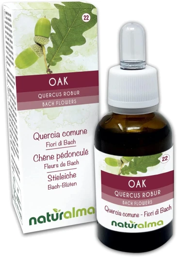 Oak ou Chêne pédonculé (Quercus robur var - pedunculata) Fleurs de Bach Naturalma - Gouttes 30 ml - Extrait liquide sans alcool - Essences florales - Vegan et sans alcool