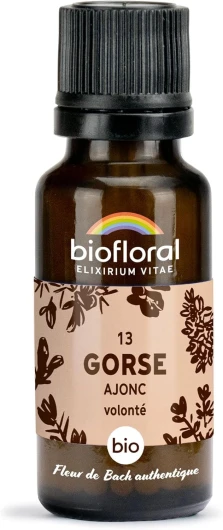 BIOFLORAL - 13 Gorse, Ajonc BIO - 470 Granules - Volonté - Fleur de Bach Authentique - Sans Alcool