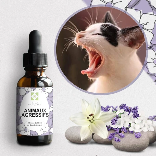 ® - Fleurs de Bach Animaux Agressifs - Aidez-vous de ce mélange pour le rendre plus calme et serein - Vous pourrez partir en promenade plus détendu (30ML), lot de 2